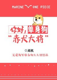 （BG/海贼王同人）你好，单身狗赤犬大将