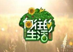 （BG/向往的生活同人）向往的生活同人