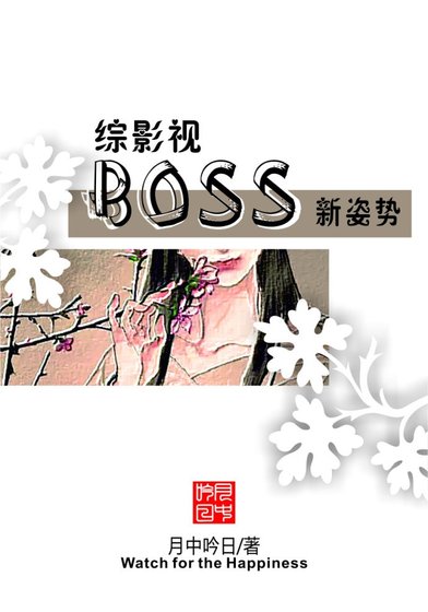 （无CP/综影视同人）综影视BOSS新姿势
