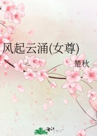 《风起云涌(女尊)》