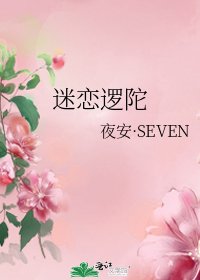 《迷恋逻陀》