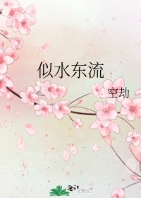 《似水东流》