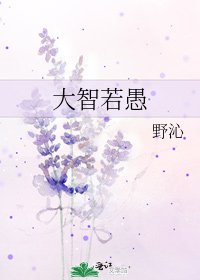 《大智若愚》