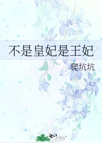 《不是皇妃是王妃》
