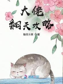 《大佬翻天攻略》