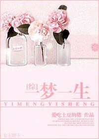 [综]一梦一生