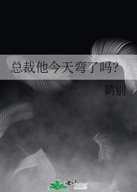 总裁他今天弯了吗?