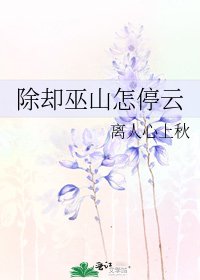 《除却巫山怎停云》
