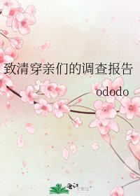 《致清穿亲们的调查报告》
