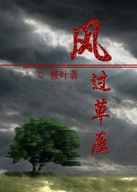 《风过草原》
