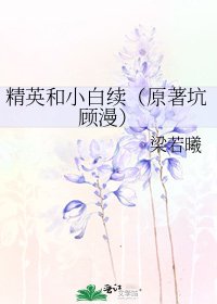 《精英和小白续(原著坑顾漫)》