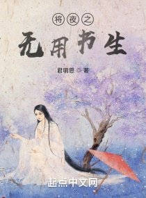 《将夜之无用书生》