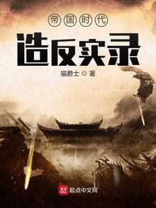 《帝国时代造反实录》