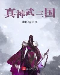 《真神武三国》