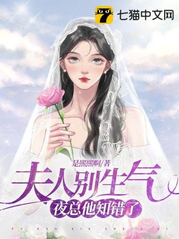 《夫人别生气夜总他知错了》