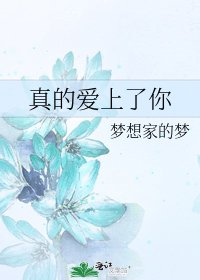 《真的爱上了你》
