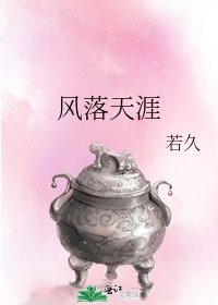 《风落天涯》