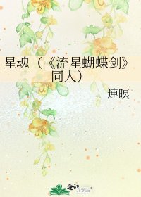 《流星蝴蝶剑》