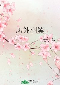 《风翎羽翼》