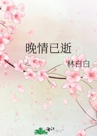 《晚情已逝》