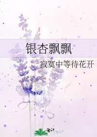 《银杏飘飘》