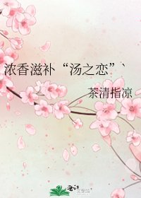 《浓香滋补“汤之恋”`》