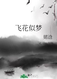 《飞花似梦》