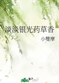 淡淡银光药草香