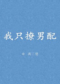 我只撩男配