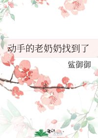 动手的老奶奶找到了