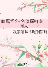 《暗翼怪盗-名侦探柯南同人》