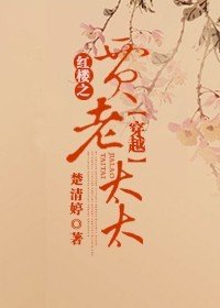 《穿越红楼之贾老太太》