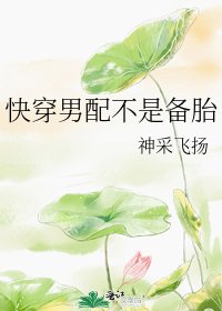 快穿男配不是备胎