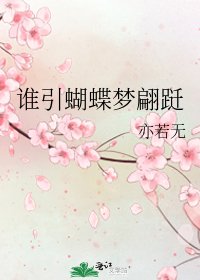 《谁引蝴蝶梦翩跹》