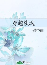 穿越棋魂