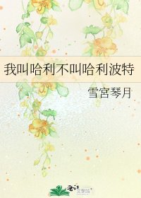 《我叫哈利不叫哈利波特》