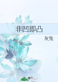 《非凹即凸》