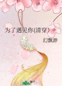 《为了遇见你(清穿)》