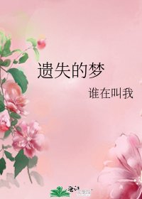 《遗失的梦》