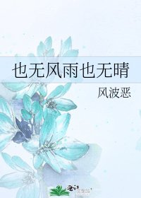 《也无风雨也无晴》