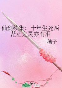 《仙剑续集:十年生死两茫茫之灵亦有泪》