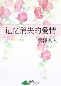 《记忆消失的爱情》