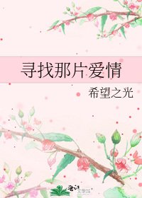 《寻找那片爱情》