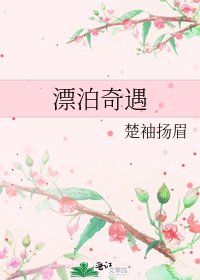 《漂泊奇遇》