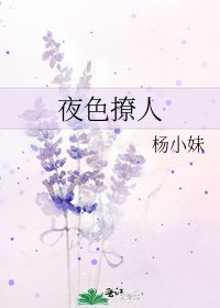 《夜色撩人》