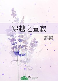 《穿越之昼寂》