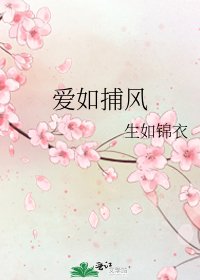 《爱如捕风》