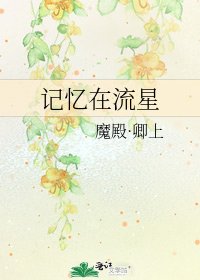 《记忆在流星》