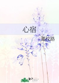 《心宿》