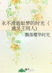 《永不滑逝如梦的时光(通灵王同人)》
